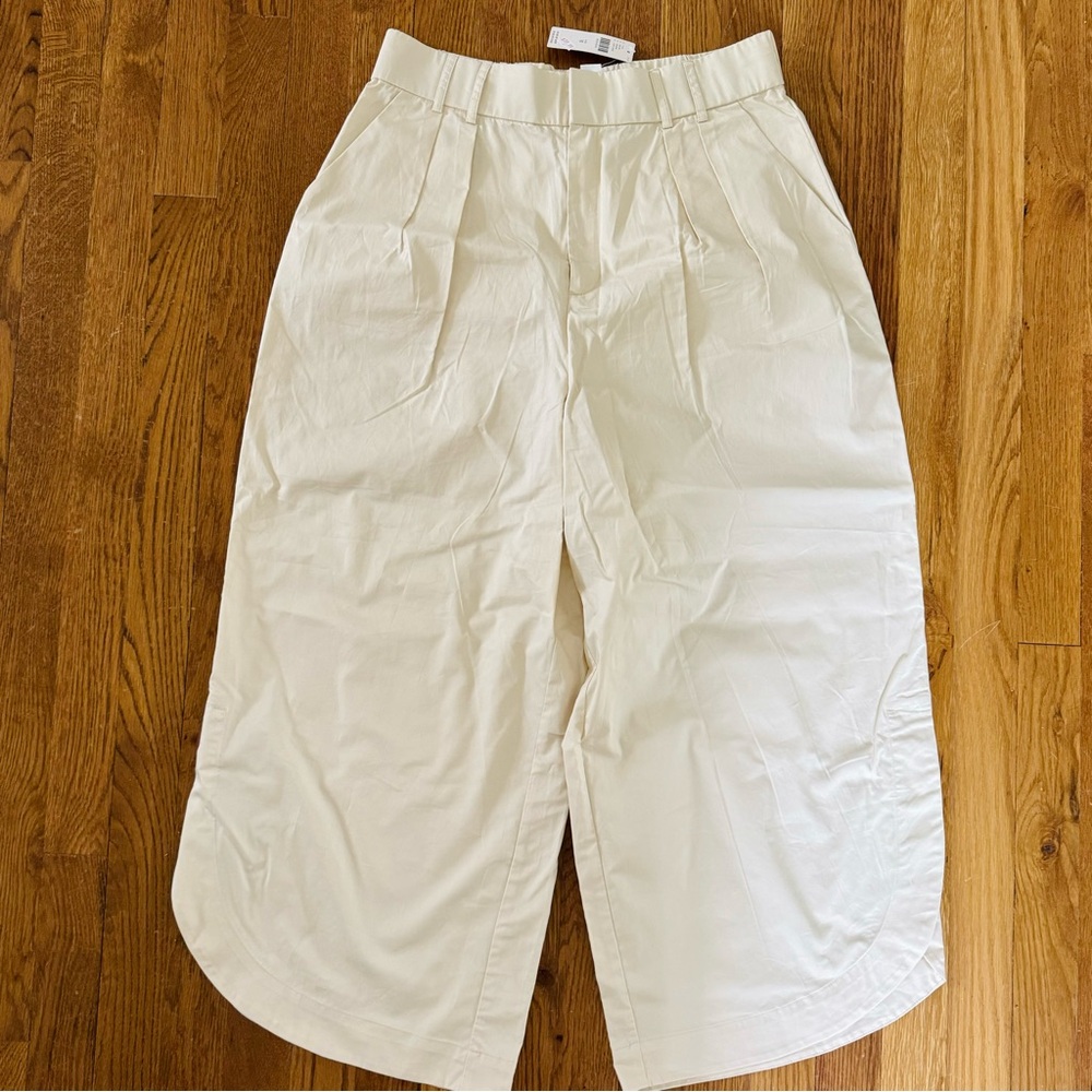 Anthropology Culottes Pants, Size M
